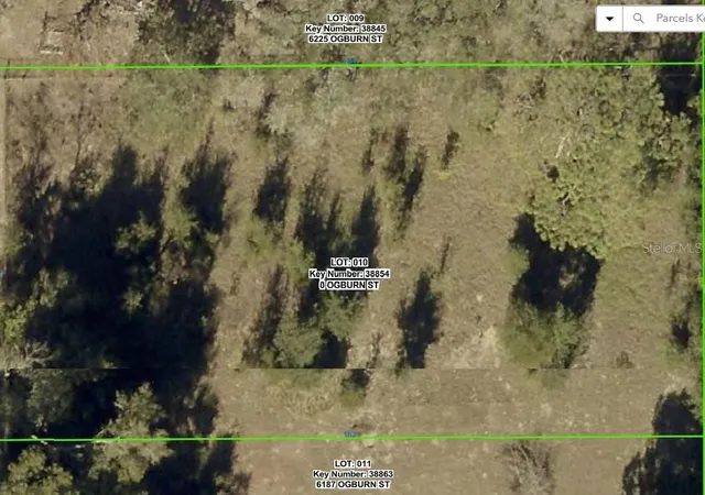Homes for sale in Brooksville, FL | 0 Ogburn St, Brooksville, FL 34602 | MLS# L4962715