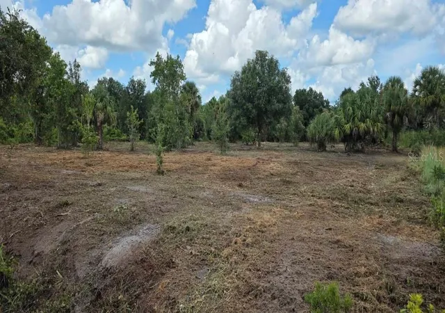 Land for sale at 16171 NW 254th Street, OKEECHOBEE, FL 34972 | MLS# C7527306