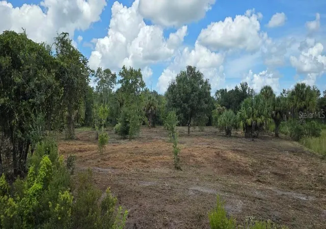 Photo 1 of Land for sale at 16171 NW 254th Street, Okeechobee, FL 34972 | MLS# C7527306 | Listing updated on 2026-09-24