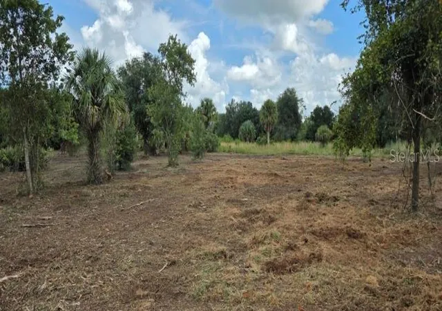 Photo 2 of Land for sale at 16171 NW 254th Street, Okeechobee, FL 34972 | MLS# C7527306 | Listing updated on 2026-09-24