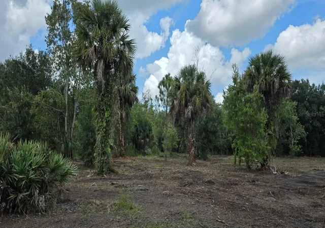 Photo 4 of Land for sale at 16171 NW 254th Street, Okeechobee, FL 34972 | MLS# C7527306 | Listing updated on 2026-09-24