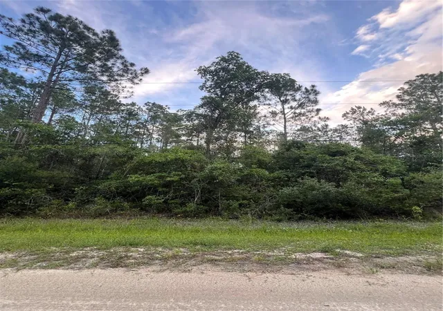 Homes for sale in Bunnell, FL | 1411 Elder St, Bunnell, FL 32110 | MLS# FC319254