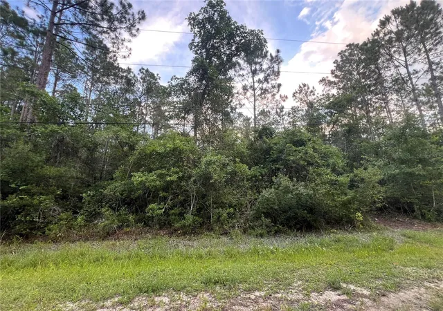Homes for sale in Bunnell, FL | 1411 Elder St, Bunnell, FL 32110 | MLS# FC319254