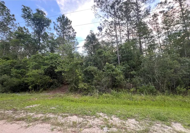Homes for sale in Bunnell, FL | 1411 Elder St, Bunnell, FL 32110 | MLS# FC319254