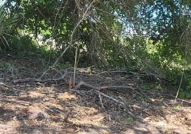 Photo 1 of Land for sale at 12323 Clarendon Ave, Port Charlotte, FL 33981 | MLS# TB8518934 | Listing updated on 2026-06-14