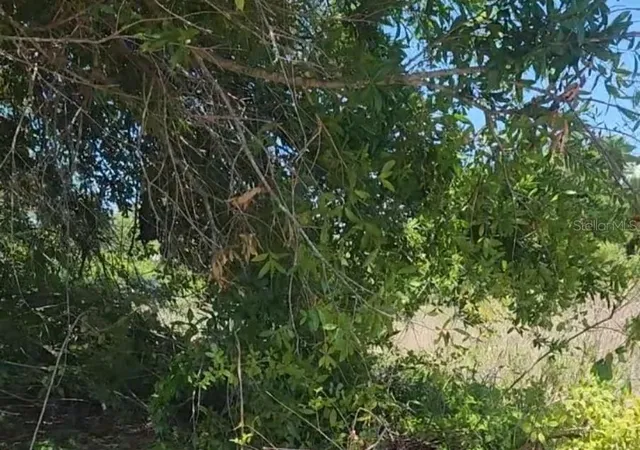 Photo 1 of Land for sale at 12323 Clarendon Ave, Port Charlotte, FL 33981 | MLS# TB8518934 | Listing updated on 2026-06-14