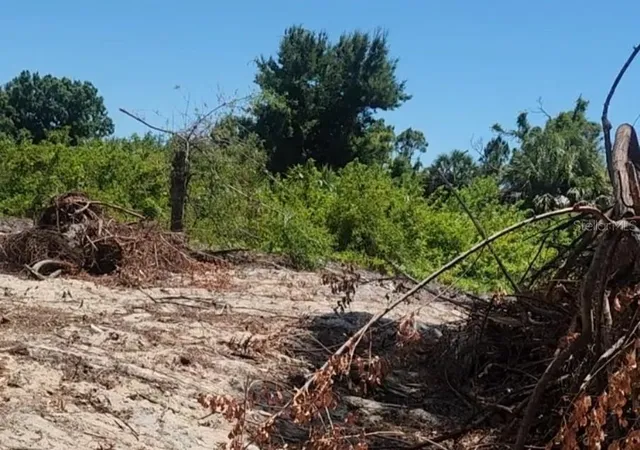 Photo 3 of Land for sale at 12323 Clarendon Ave, Port Charlotte, FL 33981 | MLS# TB8518934 | Listing updated on 2026-06-14