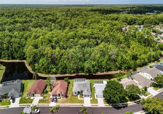43rd image of 12202 Roseland Dr, New Port Richey, FL 34654 | MLS# W7886712