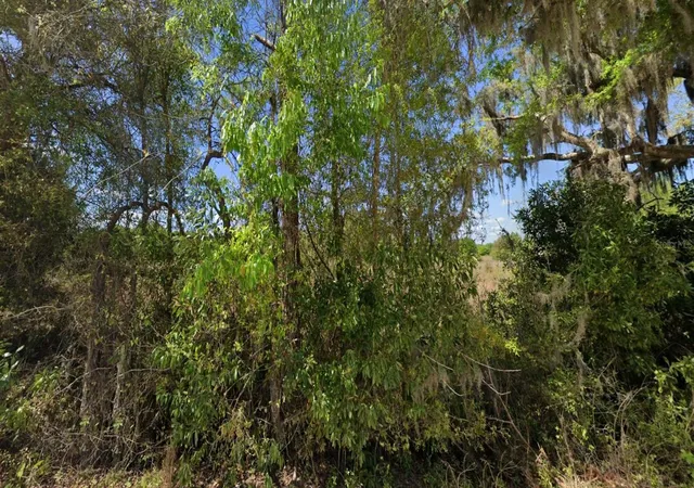 Homes for sale in Branford, FL | Off Nw Cr 138 #Lot 71, Branford, FL 32008 | MLS# D6147798