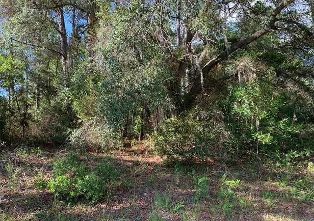 Homes for sale in Dunnellon, FL | 4081 W Findlay St, Dunnellon, FL 34433 | MLS# OM726622