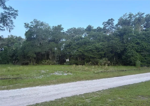 3rd image of 161 Little Orange Lake Dr, Hawthorne, FL 32640 | MLS# OM726625
