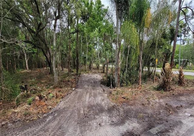 Photo 3 of Land for sale at 0 N Poinciana Blvd, Kissimmee, FL 34746 | MLS# S5151896 | Listing updated on 2026-06-15