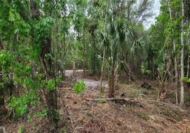 Photo 3 of Land for sale at 0 N Poinciana Blvd, Kissimmee, FL 34746 | MLS# S5151896 | Listing updated on 2026-06-15
