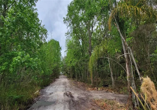 Photo 4 of Land for sale at 0 N Poinciana Blvd, Kissimmee, FL 34746 | MLS# S5151896 | Listing updated on 2026-06-15