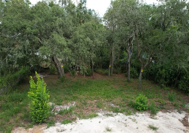 Photo 3 of Land for sale at 11406 Polo St, New Port Richey, FL 34654 | MLS# W7886730 | Listing updated on 2026-08-06