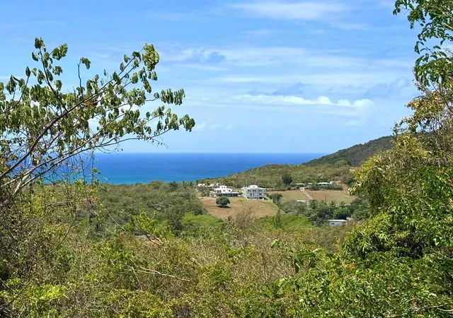 Homes for sale in Vieques, PR | 89 Calle Casa Hix, Vieques, PR 00765 | MLS# PR9122100