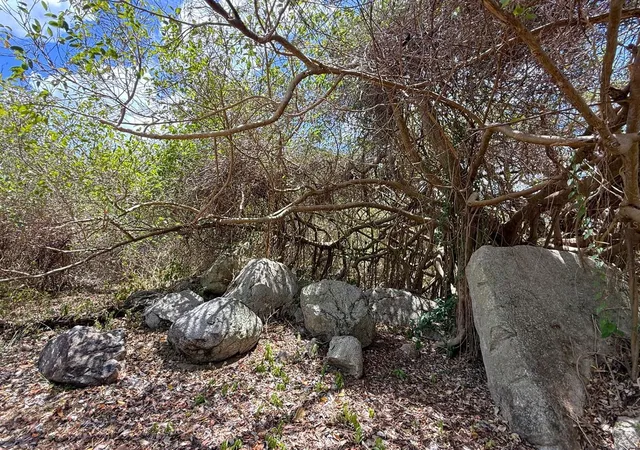 Homes for sale in Vieques, PR | 89 Calle Casa Hix, Vieques, PR 00765 | MLS# PR9122100