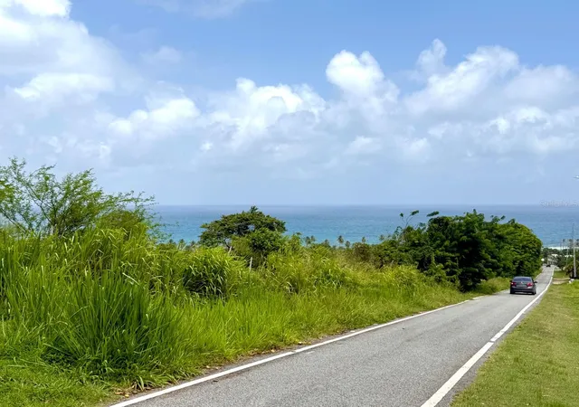 Homes for sale in Patillas, PR | 20 Hwy 7758, Patillas, PR 00723 | MLS# PR9122101