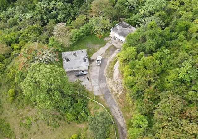 Homes for sale in San Lorenzo, PR | 183, Ramal 916 Barrio Cerro Gordo, Qbda Arenas #, San Lorenzo, PR 00754 | MLS# PR9122103