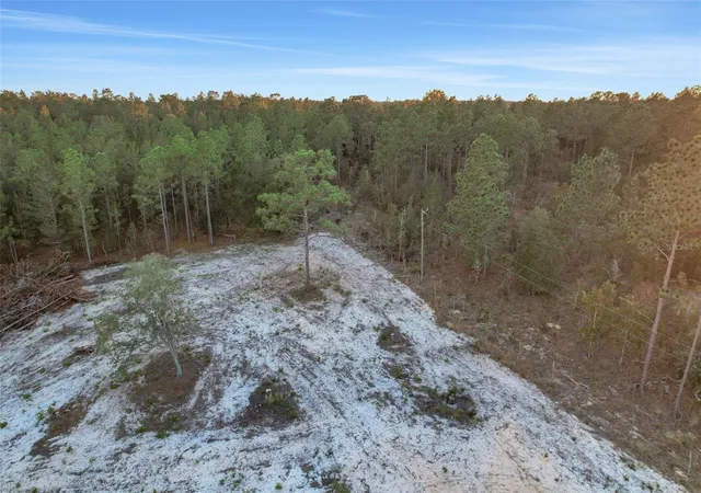12th image of 161 Windy Hills Rd, Hawthorne, FL 32640 | MLS# V4949666