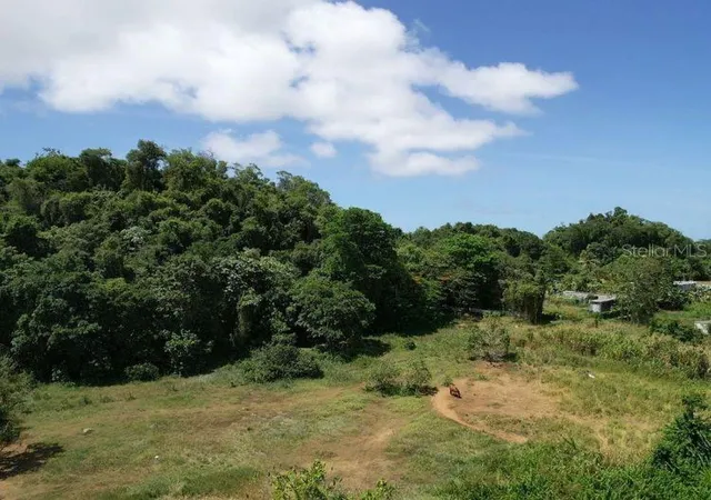 Homes for sale in Arecibo, PR | Bo Dominguito, Sector Los Colonos,, Arecibo, PR 00612 | MLS# PR9122112