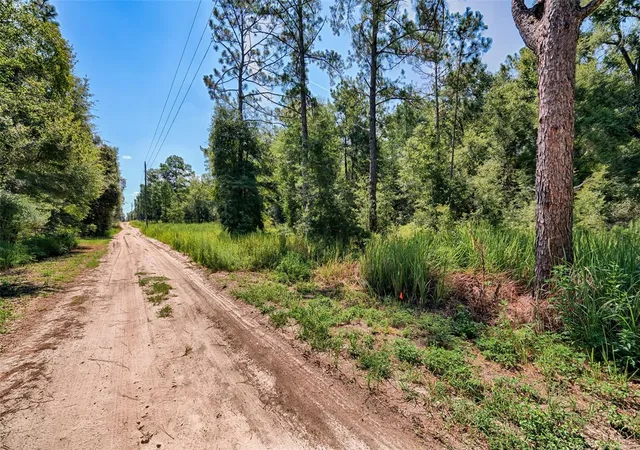 Homes for sale in Bronson, FL | Tbd Ne 82nd Pl, Bronson, FL 32621 | MLS# GC541219