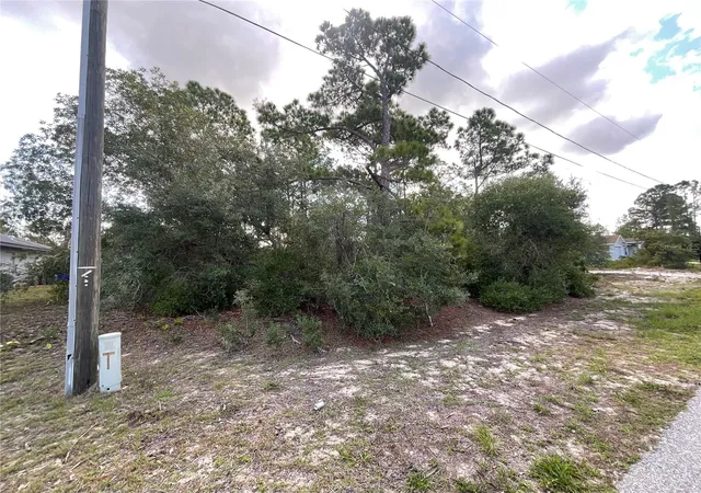1st image of 515 & 517 Concert Dr, Lake Placid, FL 33852 | MLS# C7527366