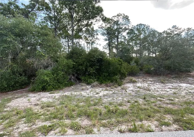 2nd image of 515 & 517 Concert Dr, Lake Placid, FL 33852 | MLS# C7527366