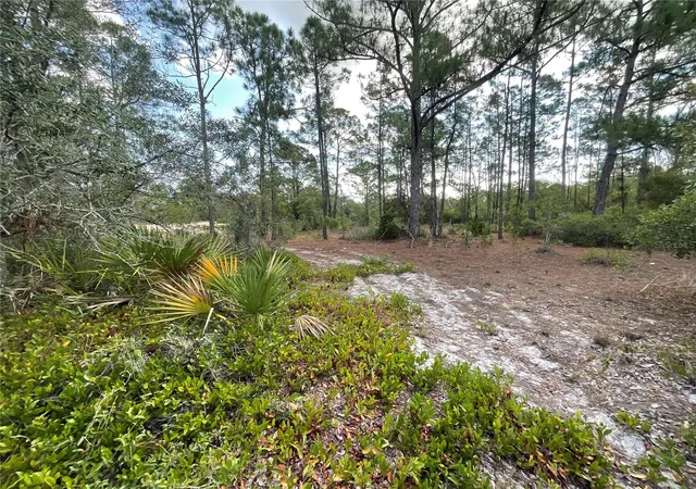 3rd image of 515 & 517 Concert Dr, Lake Placid, FL 33852 | MLS# C7527366