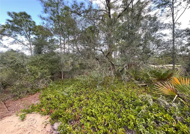 4th image of 515 & 517 Concert Dr, Lake Placid, FL 33852 | MLS# C7527366