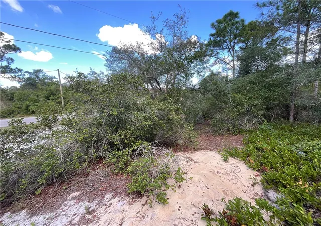 5th image of 515 & 517 Concert Dr, Lake Placid, FL 33852 | MLS# C7527366