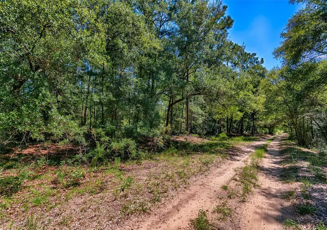 Homes for sale in Bronson, FL | Tbd Ne 83rd Ln, Bronson, FL 32621 | MLS# GC541222