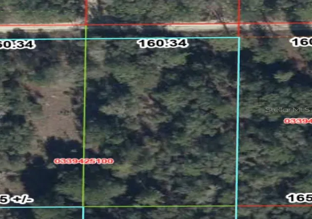 Homes for sale in Bronson, FL | Tbd Ne 83rd Ln, Bronson, FL 32621 | MLS# GC541222