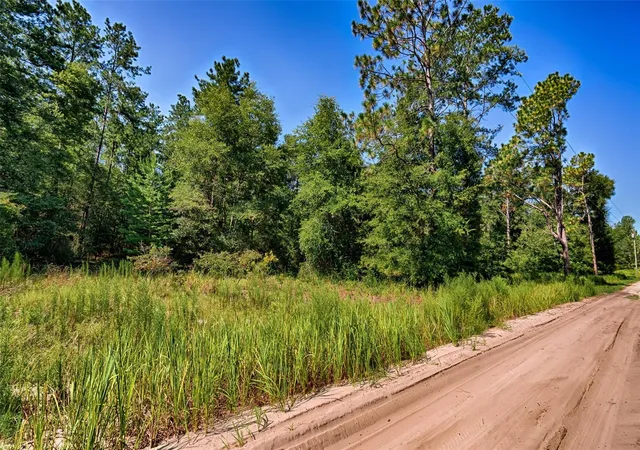 Homes for sale in Bronson, FL | 000 Ne 83rd Ln, Bronson, FL 32621 | MLS# GC541225