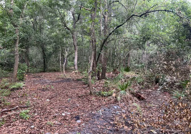 3rd image of 2322-2328 Rouse Rd, Orlando, FL 32817 | MLS# TB8519504