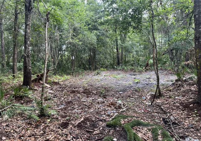 4th image of 2322-2328 Rouse Rd, Orlando, FL 32817 | MLS# TB8519504