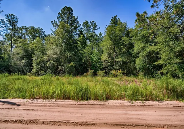 Homes for sale in Bronson, FL | Tbd Ne 100th Ave, Bronson, FL 32621 | MLS# GC541227