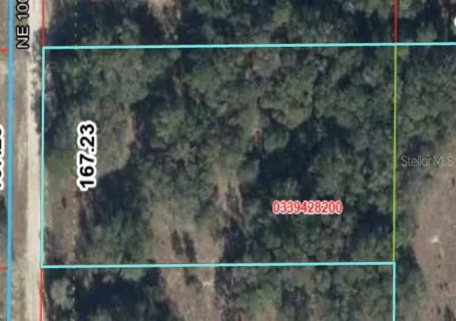 Homes for sale in Bronson, FL | Tbd Ne 100th Ave, Bronson, FL 32621 | MLS# GC541227