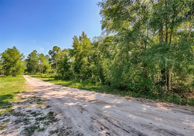 Homes for sale in Bronson, FL | 000 Ne 82nd Pl, Bronson, FL 32621 | MLS# GC541229
