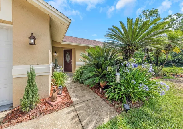 2nd image of 2437 Hawk Ave, Palm Harbor, FL 34683 | MLS# W7886760