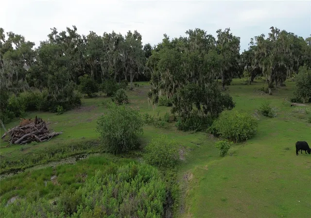 Photo 4 of Land for sale at 10900 Old Tampa Rd, Parrish, FL 34219 | MLS# A4697161 | Listing updated on 2026-07-30
