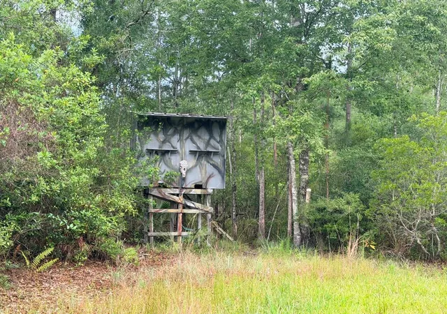 Photo 2 of Land for sale at 790 Nw 42 Terrace, Chiefland, FL 32626 | MLS# GC541238 | Listing updated on 2026-08-02