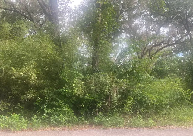 1st image of Ne 32nd St, Silver Springs, FL 34488 | MLS# G5113869