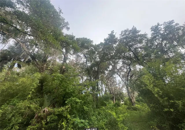 2nd image of Ne 32nd St, Silver Springs, FL 34488 | MLS# G5113869