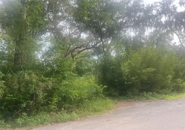 3rd image of Ne 32nd St, Silver Springs, FL 34488 | MLS# G5113869
