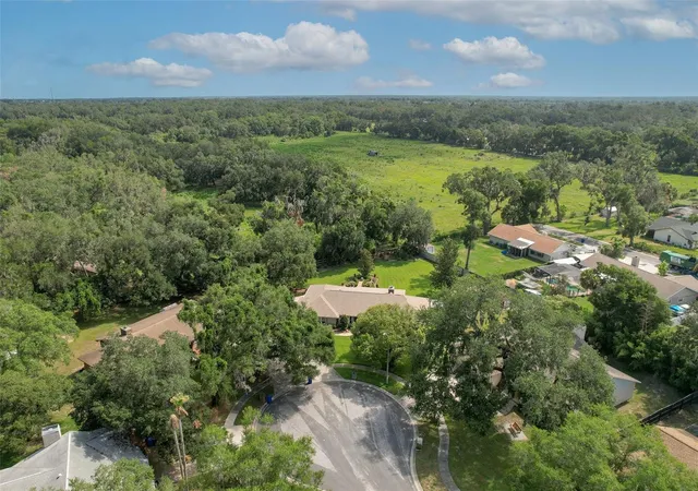 45th image of 2102 Whitlock Pl, Dover, FL 33527 | MLS# TB8519690