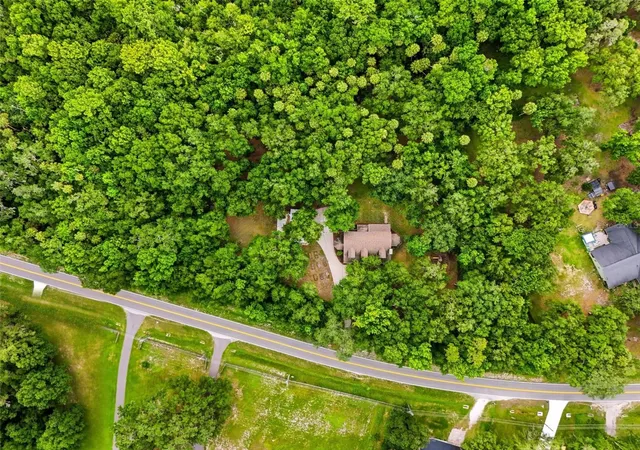 56th image of 381 N Jungle Rd, Geneva, FL 32732 | MLS# V4949688