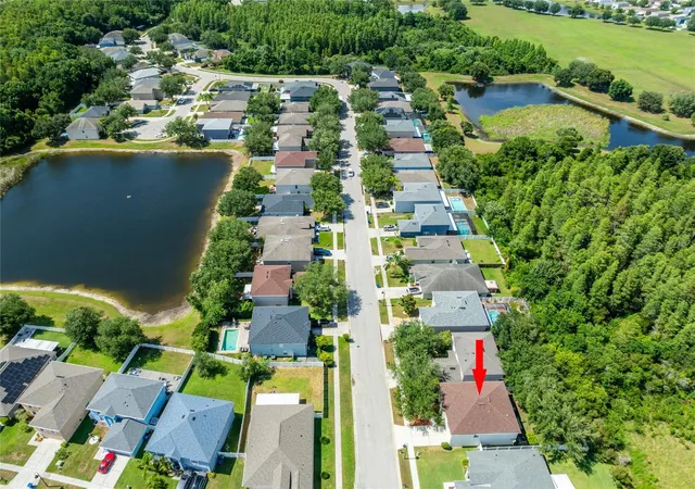 45th image of 3142 Bellericay Ln, Land O Lakes, FL 34638 | MLS# TB8519736