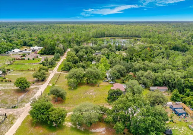 46th image of 31032 Rory Ln, Eustis, FL 32736 | MLS# G5113883