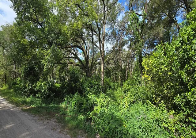 3rd image of 15621 Daybreeze Dr, Spring Hill, FL 34610 | MLS# W7886771